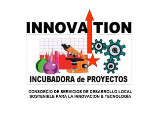 CONSORCIO DE SERVICIOS DE DESARROLLO LOCAL SOSTENIBLE PARA LA INNOVACION & TECNOLOGIA INNOVA TION 