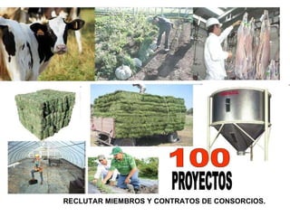 RECLUTAR MIEMBROS Y CONTRATOS DE CONSORCIOS. 