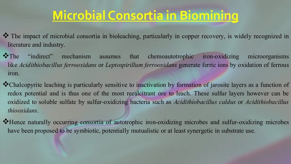 Microbial Consortia in Environmental Management Concepts, Scope and…