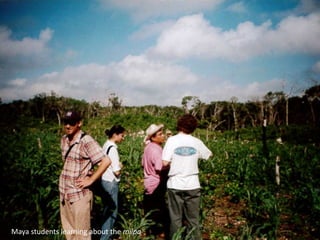 Maya students learning about the milpa
 