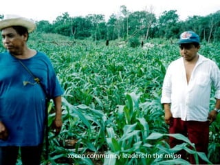 Xocen community leaders In the milpa
 