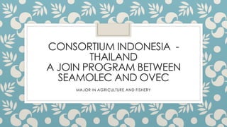 CONSORTIUM INDONESIA - 
THAILAND 
A JOIN PROGRAM BETWEEN 
SEAMOLEC AND OVEC 
MAJOR IN AGRICULTURE AND FISHERY 
 