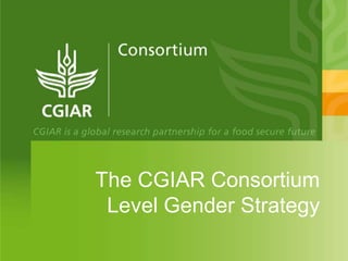 The CGIAR Consortium
 Level Gender Strategy
 