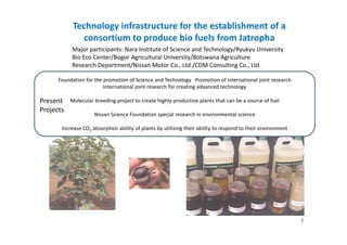 Technology infrastructure for the establishment of a 
               consortium to produce bio fuels from Jatropha 
               consortium to produce bio fuels from Jatropha
           Major participants: Nara Institute of Science and Technology/Ryukyu University
           Bio Eco Center/Bogor Agricultural University/Botswana Agriculture
           Research Department/Nissan Motor Co., Ltd./CDM Consulting Co., Ltd.
           Research Department/Nissan Motor Co., Ltd./CDM Consulting Co., Ltd.

      Foundation for the promotion of Science and Technology Promotion of international joint research
                         International joint research for creating advanced technology 

Present    Molecular breeding project to create highly‐productive plants that can be a source of fuel
Projects
                     Nissan Science Foundation special research in environmental science 

       Increase CO2 absorption ability of plants by utilizing their ability to respond to their environment
 