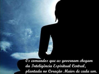 Os comandos que as governam chegam da Inteligência Espiritual Central,  plantada no Coração Maior de cada um. 