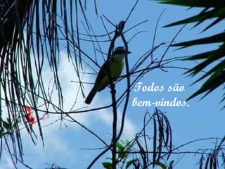 Todos são  bem-vindos. 