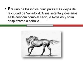 • Era uno de los indios principales más viejos de
la ciudad de Valladolid. A sus setenta y dos años
se le conocía como el cacique Rosales y solía
desplazarse a caballo.
 