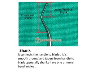 Shank
It connects the handle to blade . It is
smooth , round and tapers from handle to
blade .generally shanks have one or more
bend angles .
 