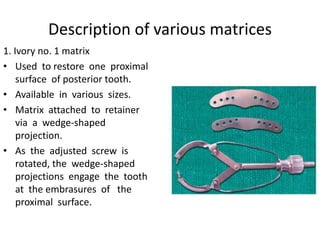 Description of various matrices
1. Ivory no. 1 matrix
• Used to restore one proximal
surface of posterior tooth.
• Available in various sizes.
• Matrix attached to retainer
via a wedge-shaped
projection.
• As the adjusted screw is
rotated, the wedge-shaped
projections engage the tooth
at the embrasures of the
proximal surface.
 