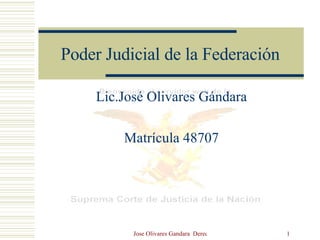 Poder Judicial de la Federación Lic.José Olivares Gándara Matrícula 48707 