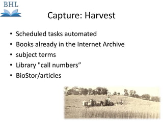 Capture: Harvest
• Scheduled tasks automated
• Books already in the Internet Archive
• subject terms
• Library "call numbers”
• BioStor/articles
 