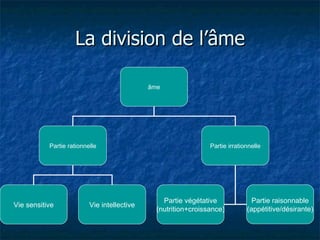 La division de l’âme âme Partie rationnelle Partie irrationnelle Partie végétative (nutrition+croissance) Partie raisonnable (appétitive/désirante) Vie sensitive Vie intellective 