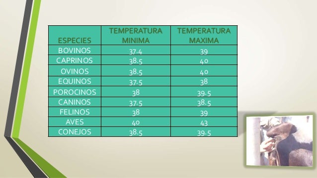 Constantes