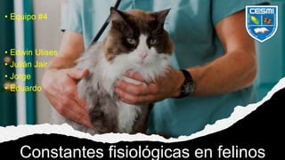 Constantes fisiológicas en felinos
• Equipo #4
• Edwin Ulises
• Julián Jair
• Jorge
• Eduardo
 