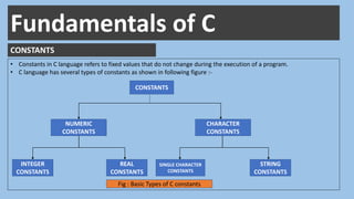 Constants variables data_types | PPT