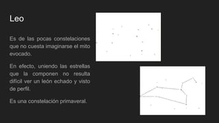 Leo
Es de las pocas constelaciones
que no cuesta imaginarse el mito
evocado.
En efecto, uniendo las estrellas
que la componen no resulta
difícil ver un león echado y visto
de perfil.
Es una constelación primaveral.
 