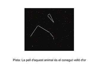 Pista: La pell d'aquest animal és el conegut velló d'or
 
