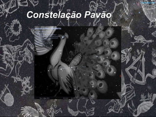 Constelação Pavão
 