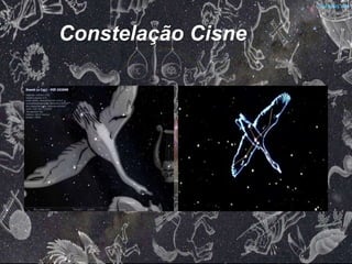 Constelação Cisne
 