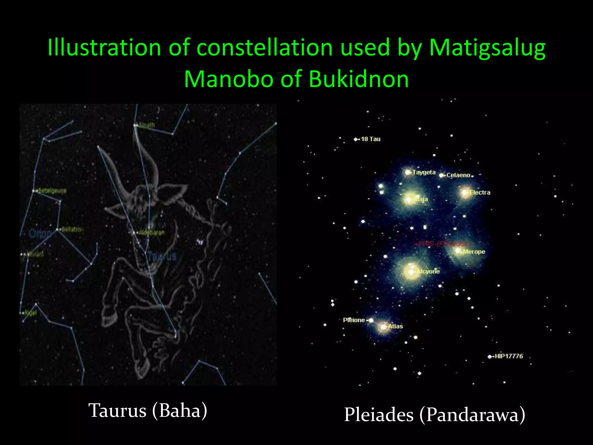 Illustration of constellation used by Matigsalug
Manobo of Bukidnon
Taurus (Baha) Pleiades (Pandarawa)
 