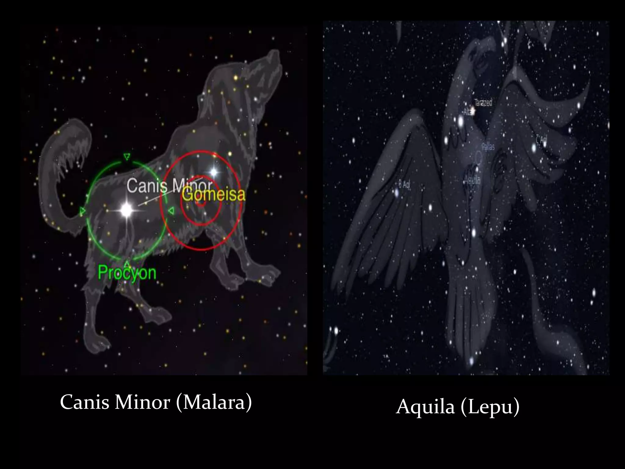 Canis Minor (Malara) Aquila (Lepu)
 