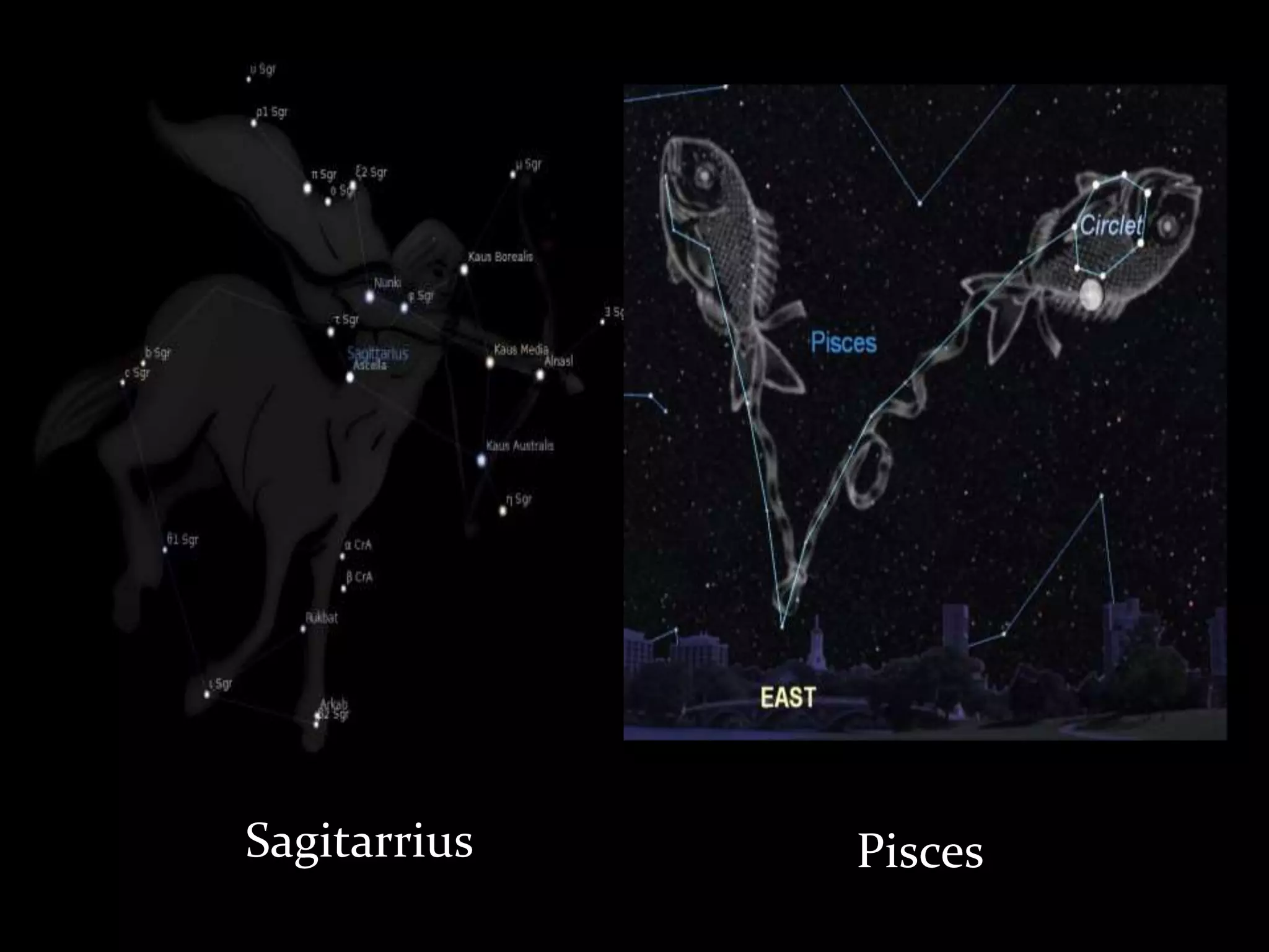 Sagitarrius Pisces
 