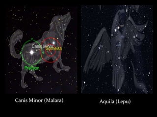Canis Minor (Malara) Aquila (Lepu)
 