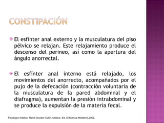 El esfínter anal externo y la musculatura del piso pélvico se relajan. Este relajamiento produce el descenso del perineo, así como la apertura del ángulo anorrectal. El esfínter anal interno está relajado, los movimientos del anorrecto, acompañados por el pujo de la defecación (contracción voluntaria de la musculatura de la pared abdominal y el diafragma), aumentan la presión intrabdominal y se produce la expulsión de la materia fecal. Fisiología médica. René Drucker Colín. México. Ed. El Manual Moderno,2005. 