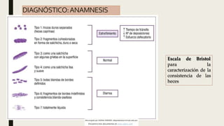 DIAGNÓSTICO:ANAMNESIS
Escala de Bristol
para la
caracterización de la
consistencia de las
heces
Descargado por DANNA PAREDES (dlparedes@ucvvirtual.edu.pe)
Encuentra más documentos en www.udocz.com
 