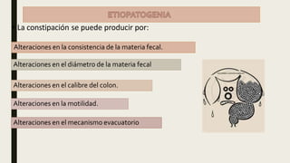 • La constipación se puede producir por:
Alteraciones en la consistencia de la materia fecal.
Alteraciones en el diámetro de la materia fecal
Alteraciones en la motilidad.
Alteraciones en el calibre del colon.
Alteraciones en el mecanismo evacuatorio
 