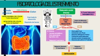 FISIOP
A
T
OLOGÍADELE
S
T
R
E
Ñ
I
M
I
E
N
T
O
Válvula
íleocecal
Colon
1500 ml Quimo
MITAD PROXIMAL DEL COLON
“Colon Absorbente”
Casi toda la
absorción
MITAD DISTAL DEL COLON
“Colon de depósito”
Depósito de heces
Distensiónrectal
(heces)
Señalesaferentes
N.Pelvianos
• Aumento peristaltismo
Colondescendente,
sigmoides, recto
• RelajaciónE.anal Interno
• CierreglotisXpar
• ContraccióncaraVII par
• DescensodiafragmaN.Frénico
• Contracciónparedabdominal
• Aumento presiónintraabdominal
• DescensopisopélvicoN. Pudendo
SNA SNS
Señaleseferentes
Corteza
Tallo
MédulaS2-S4
RelajaciónV
oluntaria
E.AnalExterno
Relajación
m.puborrectal
DEFECACIÓN
Centrodedefecación
Puentecercac. micción
R.FuerteDefecación
PARASIMPÁTICO
 
