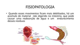• Quando esses movimentos ficam mais debilitados, há um
acúmulo de material não digerido no intestino, que pode
causar uma reabsorção de água e um endurecimento
desses resíduos
FISIOPATOLOGIA
 
