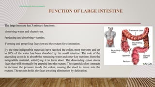 FUNCTION OF LARGE INTESTINE
Constipation with electro-homeopathy
The large intestine has 3 primary functions:
absorbing water and electrolytes.
Producing and absorbing vitamins.
Forming and propelling faces toward the rectum for elimination.
By the time indigestible materials have reached the colon, most nutrients and up
to 90% of the water has been absorbed by the small intestine. The role of the
ascending colon is to absorb the remaining water and other key nutrients from the
indigestible material, solidifying it to form stool. The descending colon stores
faces that will eventually be emptied into the rectum. The sigmoid colon contracts
to increase the pressure inside the colon, causing the stool to move into the
rectum. The rectum holds the faces awaiting elimination by defecation.
 