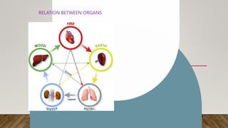 RELATION BETWEEN ORGANS
 