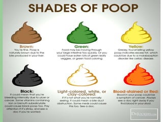 Pink Constipation Constipation | PPT | Free Download