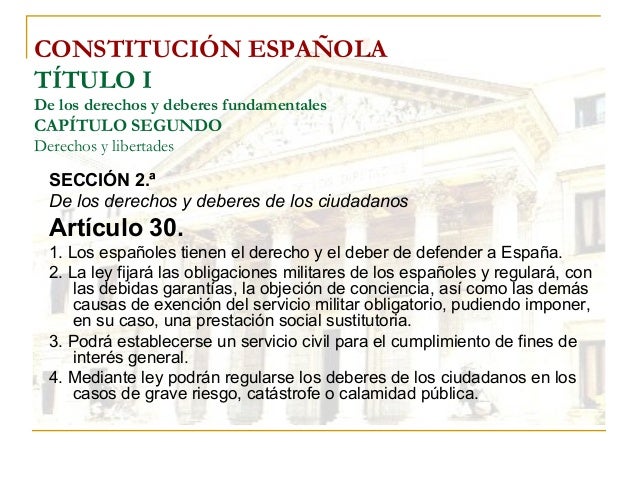 Articulo 44 De La Constitucion Española