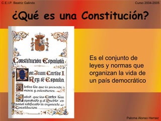 ¿Qué es una Constitución? Es el conjunto de leyes y normas que organizan la vida de un país democrático 
