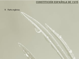 CONSTITUCIÓN ESPAÑOLA DE 1978

B. Parte orgánica:
 