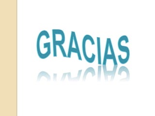 Constitución de los derechos humanos