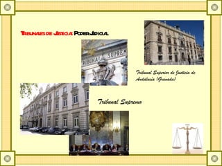 Tribunales de Justicia:  Poder Judicial Tribunal Superior de Justicia de Andalucía (Granada) Tribunal Supremo 