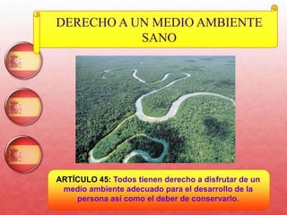 46
DERECHO A UN MEDIO AMBIENTE
SANO
ARTÍCULO 45: Todos tienen derecho a disfrutar de un
medio ambiente adecuado para el desarrollo de la
persona así como el deber de conservarlo.
 