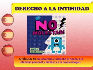 DERECHO A LA INTIMIDAD

ARTÍCULO 18: Se garantiza el derecho al honor, a la
intimidad personal y familiar y a la propia imagen.
39

 