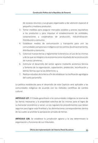 55Oficina de implementación del Sistema Penal Acusatorio
Constitución Política de la República de Panamá
de escasos recursos y sus grupos organizados y dar atención especial al
pequeño y mediano productor;
3.	 Tomar medidas para asegurar mercados estables y precios equitativos
a los productos y para impulsar el establecimiento de entidades,
corporaciones y cooperativas de producción, industrialización.
Distribución y consumo;
4.	 Establecer medios de comunicación y transporte para unir las
comunidadescampesinaseindígenaconloscentrosdealmacenamiento,
distribución y consumo;
5.	 Colonizar nuevas tierras y reglamentar la tenencia y el uso de las mismas
y de las que se integren a la economía como resultado de la construcción
de nuevas carreteras;
6.	 Estimular el desarrollo del sector agrario mediante asistencia técnica
y fomento de la organización, capacitación, protección, tecnificación y
demás formas que la Ley determine; y,
7.	 Realizar estudios de la tierra a fin de establecer la clasificación agrológica
del suelo panameño.
La política establecida para el desarrollo de este Capítulo será aplicable a las
comunidades indígenas de acuerdo con los métodos científicos de cambio
cultural.
ARTICULO 127. El Estado garantizará a las comunidades indígenas la reserva de
las tierras necesarias y la propiedad colectiva de las mismas para el logro de
su bienestar económico y social. La Ley regulará los procedimientos que deban
seguirse para lograr esta finalidad y las delimitaciones correspondientes dentro
de las cuales se prohíbe la apropiación privada de tierras.
ARTICULO 128. Se establece la jurisdicción agraria y la Ley determinará la
organización y funciones de sus tribunales.
 