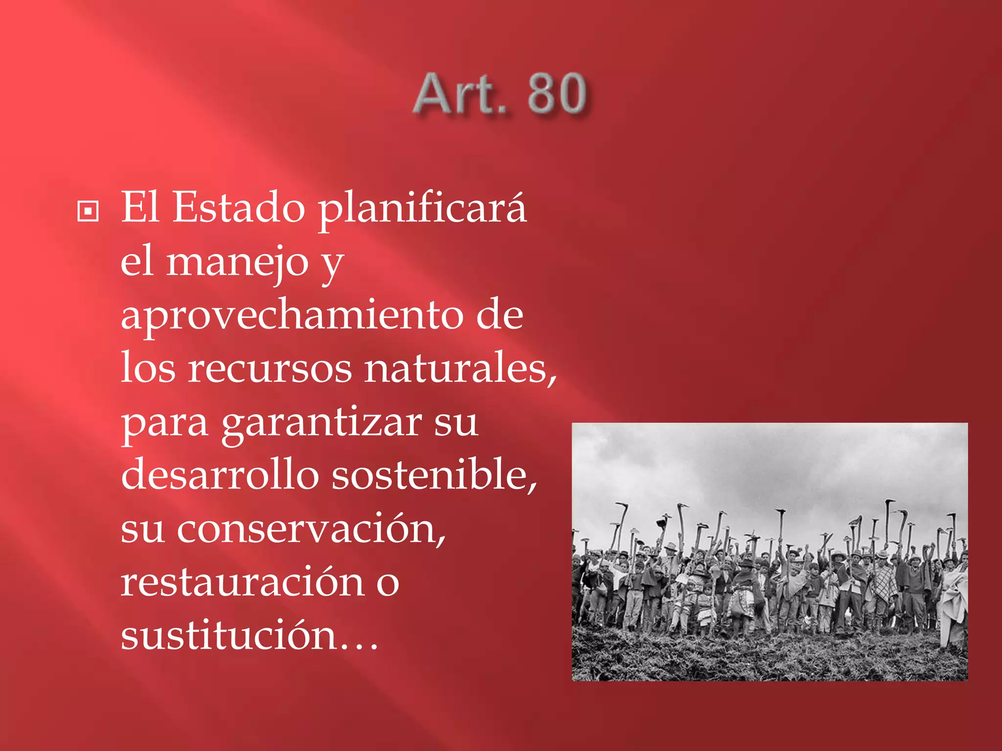  El Estado planificará
el manejo y
aprovechamiento de
los recursos naturales,
para garantizar su
desarrollo sostenible,
su conservación,
restauración o
sustitución…