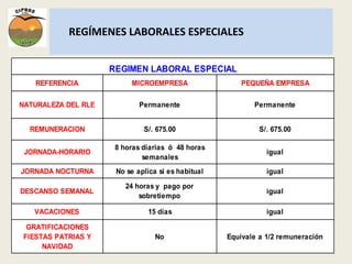 REGÍMENES LABORALES ESPECIALES 
REGIMEN LABORAL ESPECIAL 
REFERENCIA MICROEMPRESA PEQUEÑA EMPRESA 
NATURALEZA DEL RLE Permanente Permanente 
REMUNERACION S/. 675.00 S/. 675.00 
JORNADA-HORARIO 
8 horas diarias ó 48 horas 
semanales 
igual 
JORNADA NOCTURNA No se aplica si es habitual igual 
DESCANSO SEMANAL 
24 horas y pago por 
sobretiempo 
igual 
VACACIONES 15 días igual 
GRATIFICACIONES 
FIESTAS PATRIAS Y 
NAVIDAD 
No Equivale a 1/2 remuneración 
 