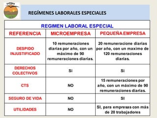 REGÍMENES LABORALES ESPECIALES 
REGIMEN LABORAL ESPECIAL 
REFERENCIA MICROEMPRESA PEQUEÑA EMPRESA 
DESPIDO 
INJUSTIFICADO 
10 remuneraciones 
diarias por año, con un 
máximo de 90 
remuneraciones diarias. 
20 remuneracione diarias 
por año, con un maximo de 
120 remuneraciones 
diarias. 
DERECHOS 
COLECTIVOS 
Si Si 
CTS NO 
15 remuneraciones por 
año, con un máximo de 90 
remuneraciones diarias. 
SEGURO DE VIDA NO SI 
UTILIDADES NO 
SI, para empresas con más 
de 20 trabajadores 
 