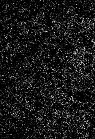 Constituciones mexicanas2