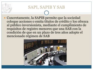 Sapi Menor CONSTITUCION LEGAL DE LA EMPRESA | PPTX