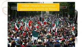 Congreso	
  General	
  se	
  divide	
  en	
  2	
  
cámaras.	
  
	
  
●  Diputados	
  	
  
	
  
	
  
	
  
●  Senadores	
  	
  
Ambas	
  cámaras	
  representan	
  
igualmente	
  al	
  pueblo	
  de	
  México
 