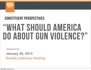 Constituent Perspectives:

    “What Should America
    Do About Gun Violence?”
           Prepared for:

         January 30, 2013
         Senate Judiciary Hearing


Wednesday, January 30, 13
 